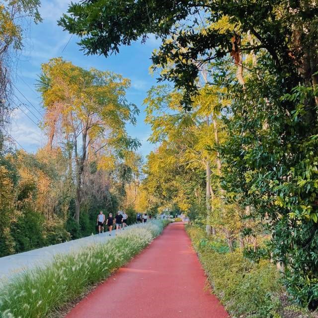 5200 Martel Avenue Dallas TX 75206