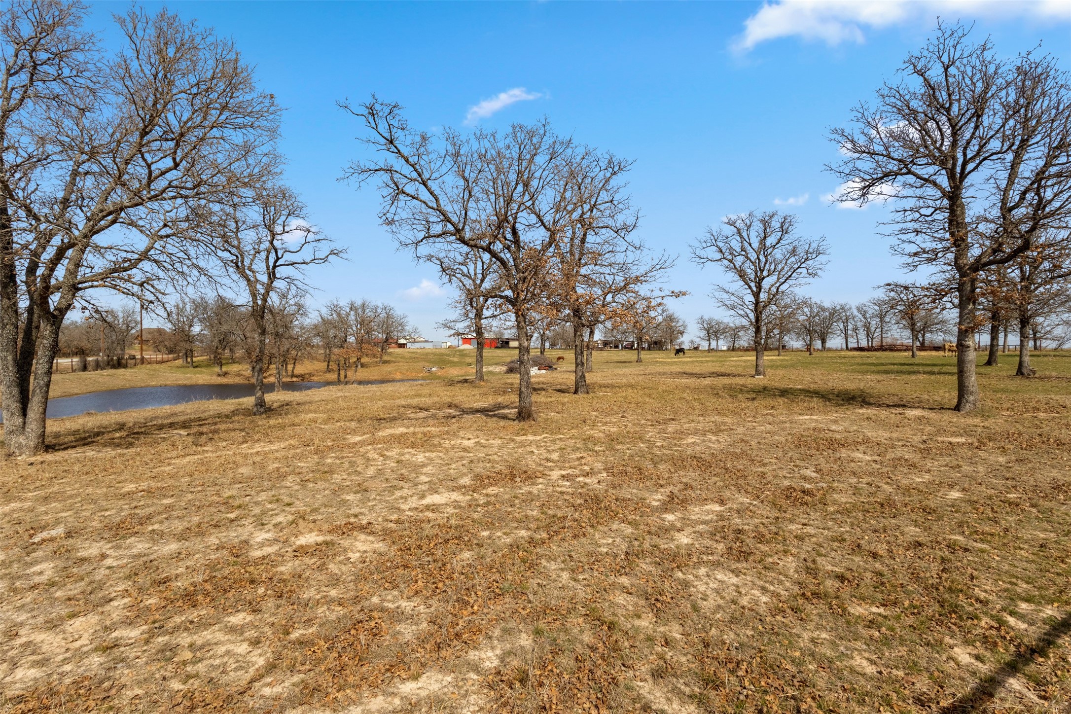 1219 County Road 3550 Paradise TX 76073