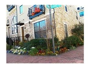 7245 Kasko Drive Plano TX 75024