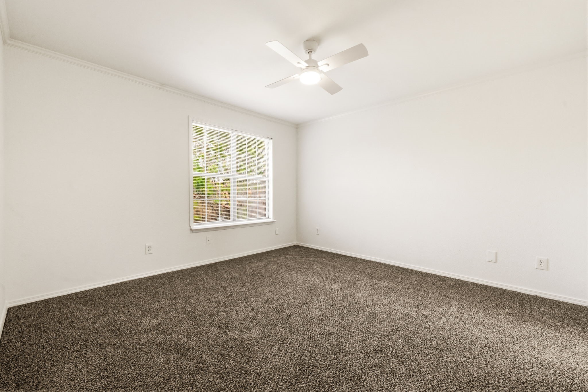 5200 Martel Avenue Dallas TX 75206