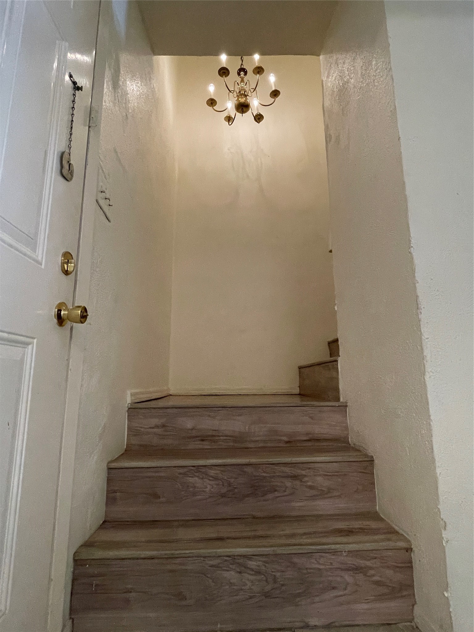 2313 Trellis Place Richardson TX 75081