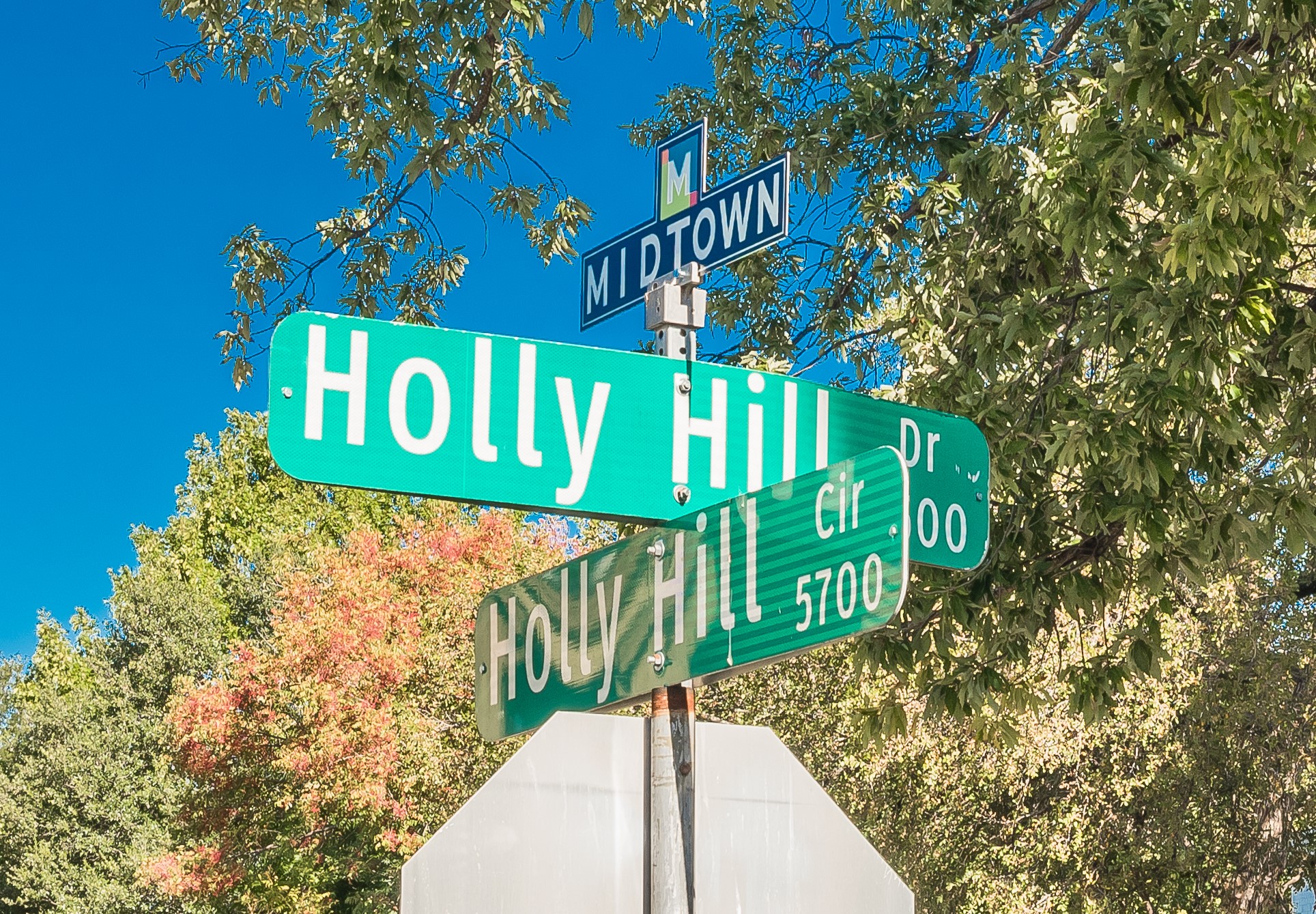 7450 Holly Hill Dallas TX 75231