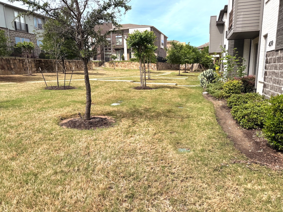 409 Harmon Drive Plano TX 75075