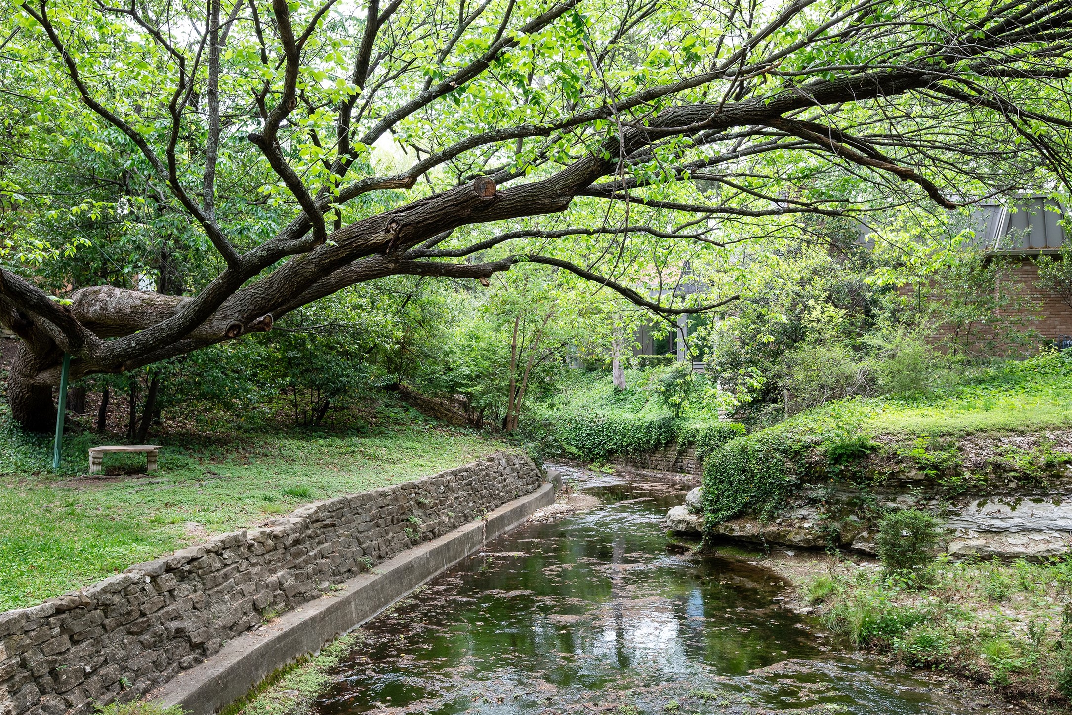 5826 Farquhar Lane Dallas TX 75209