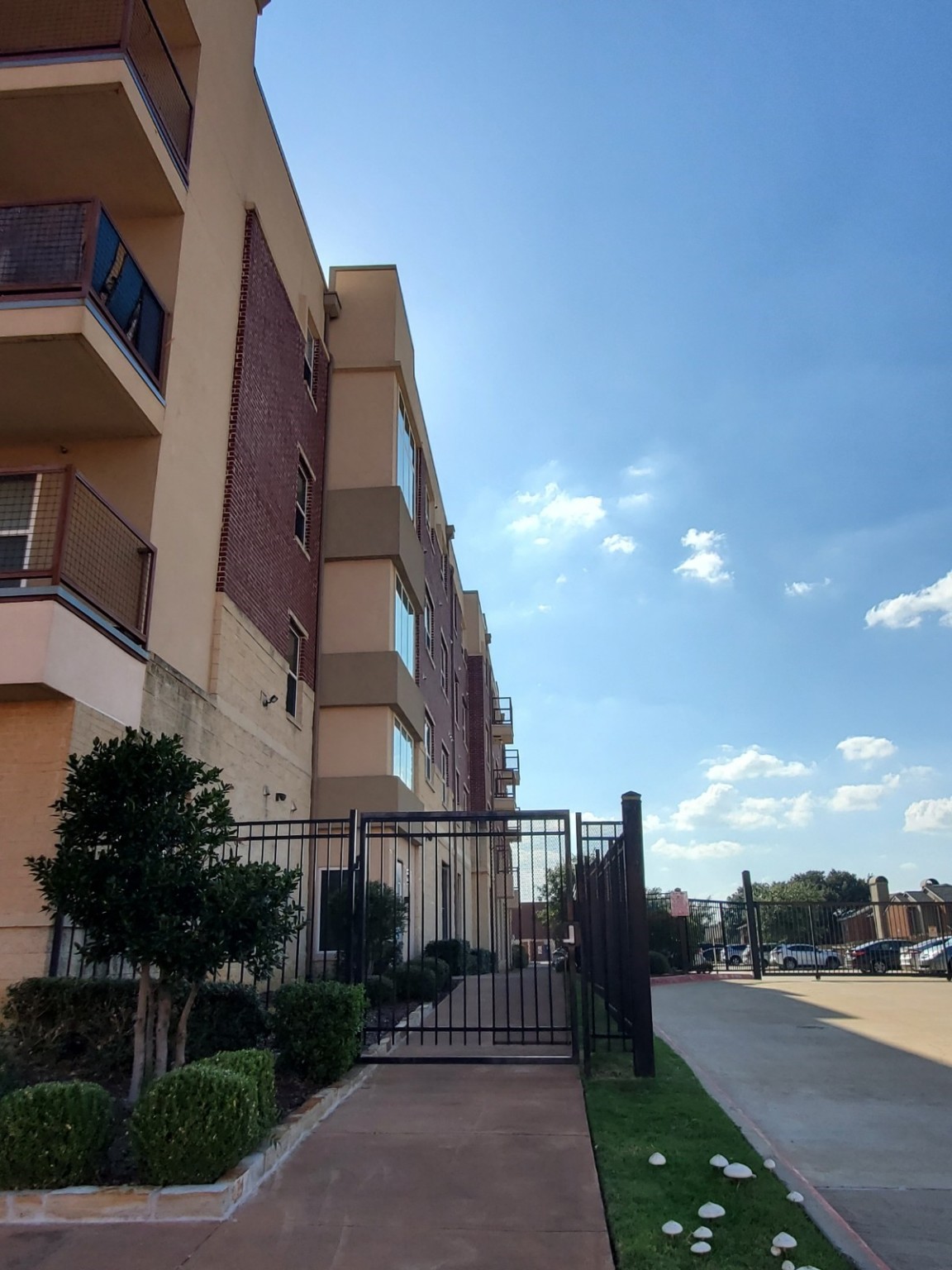 1100 W Trinity Mills Road Carrollton TX 75006