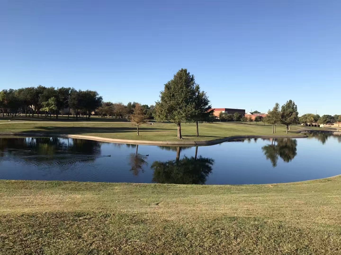 2113 Trellis Place Richardson TX 75081