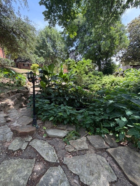 3016 Mahanna Springs Drive Dallas TX 75235