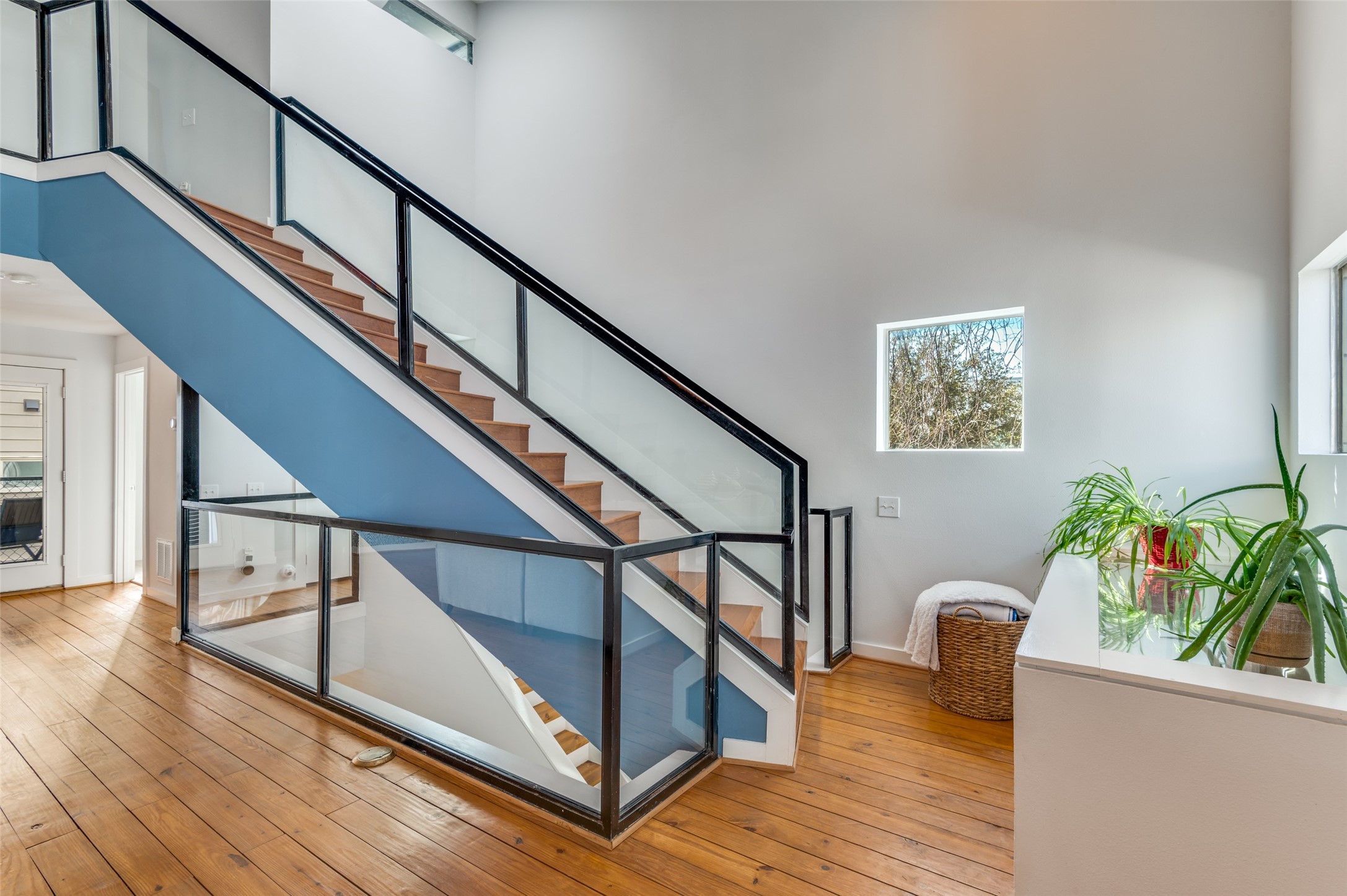 4605 Lester Drive Dallas TX 75219
