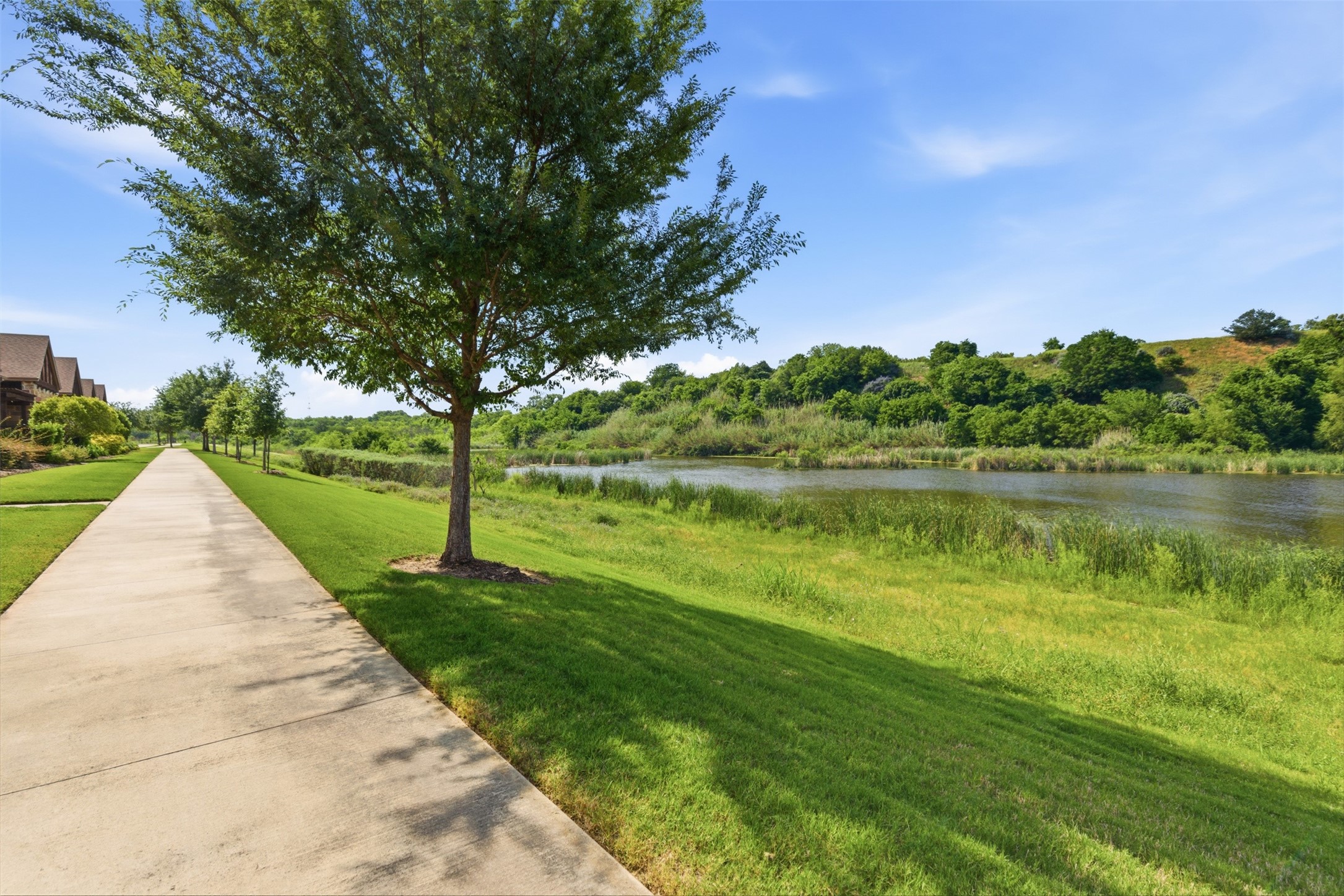 1117 Blue Bill Lane Arlington TX 76005