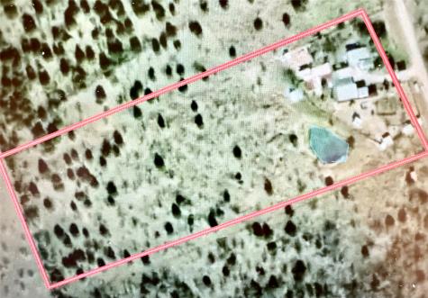 178 Private Road 5462 Mexia TX 76667