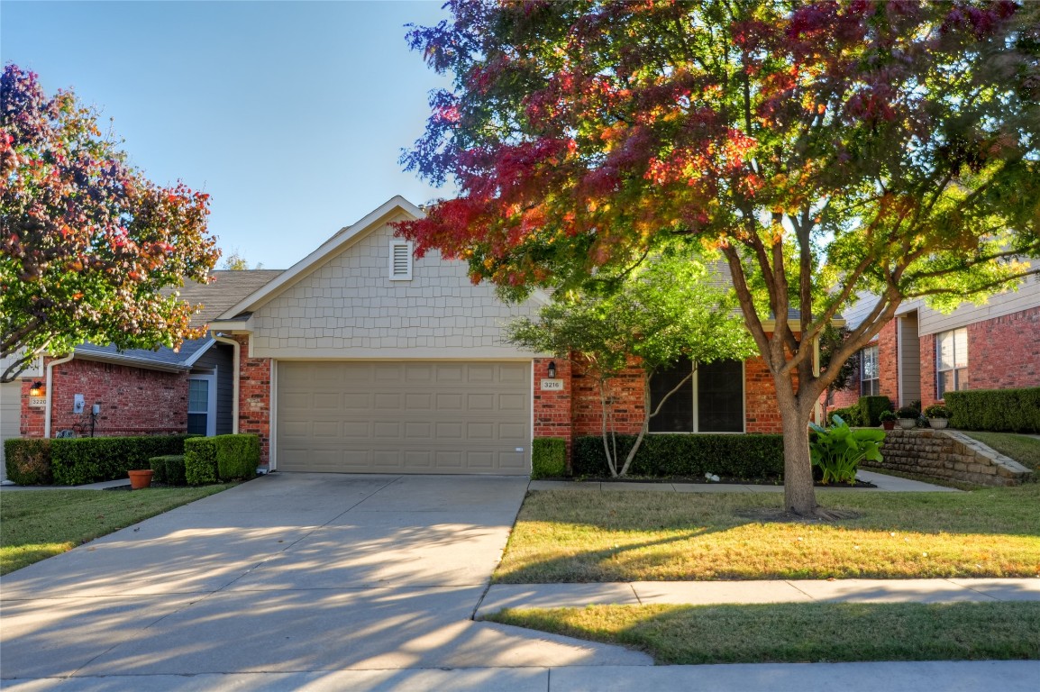 3216 Apple Tree Drive Plano TX 75093