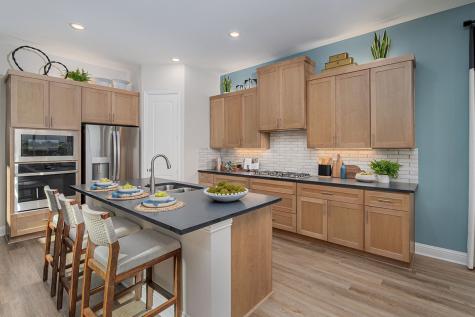3091 Eleanor Drive Prosper TX 75078