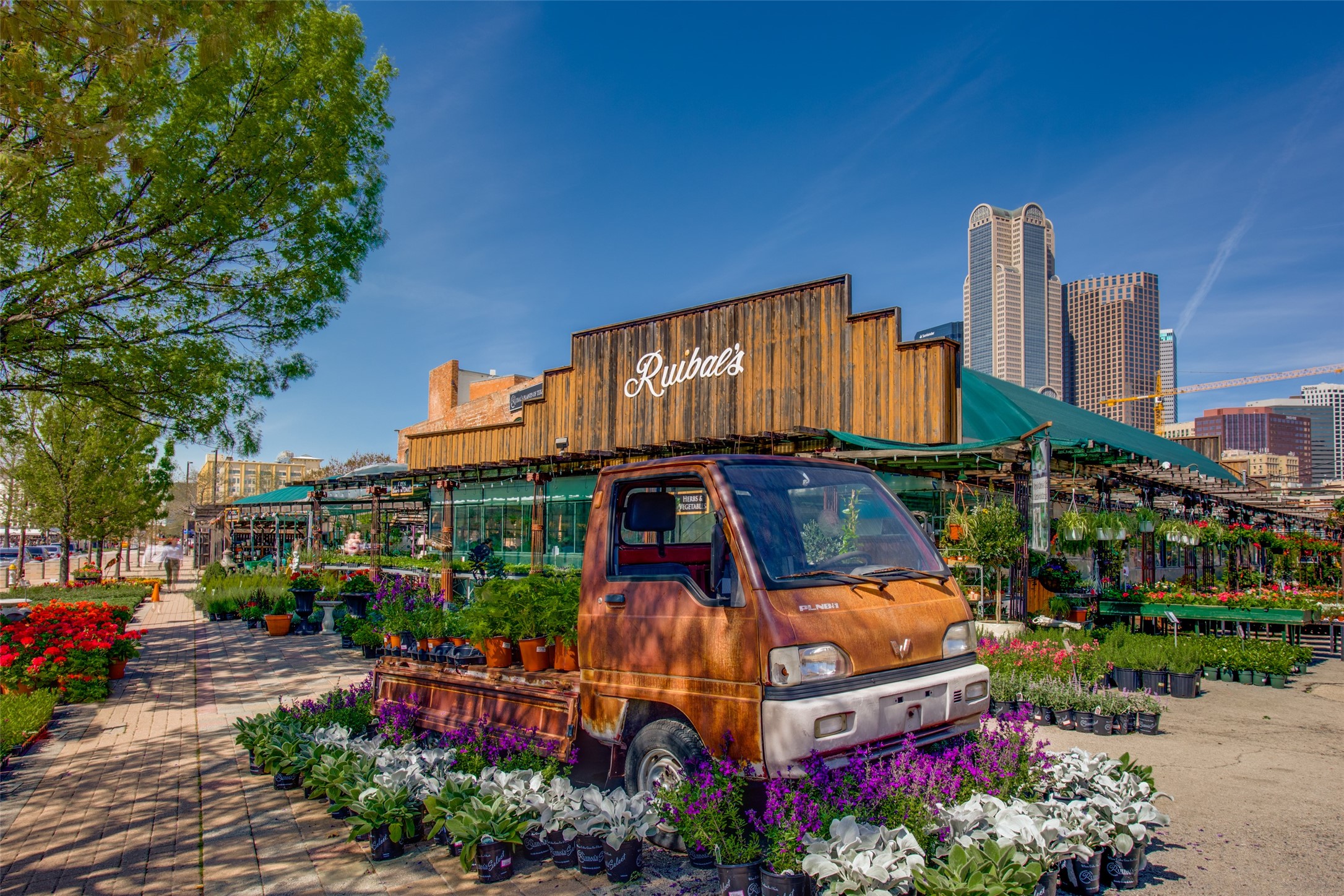 2123 Diversey Street Dallas TX 75201