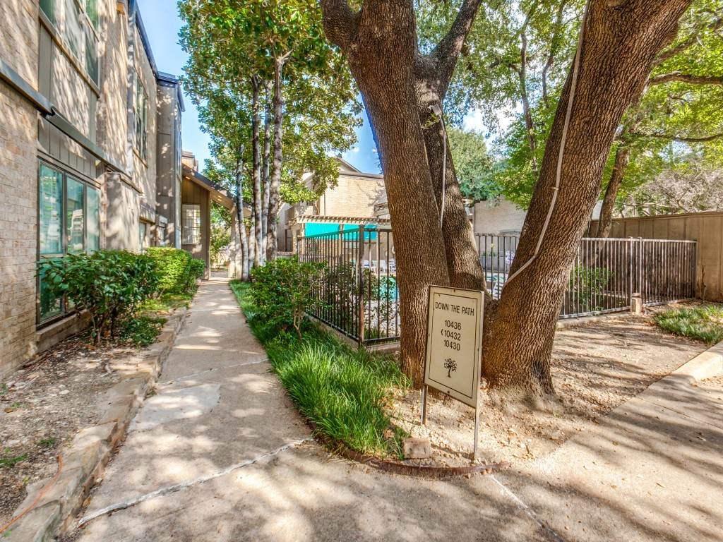 10436 High Hollows Drive Dallas TX 75230