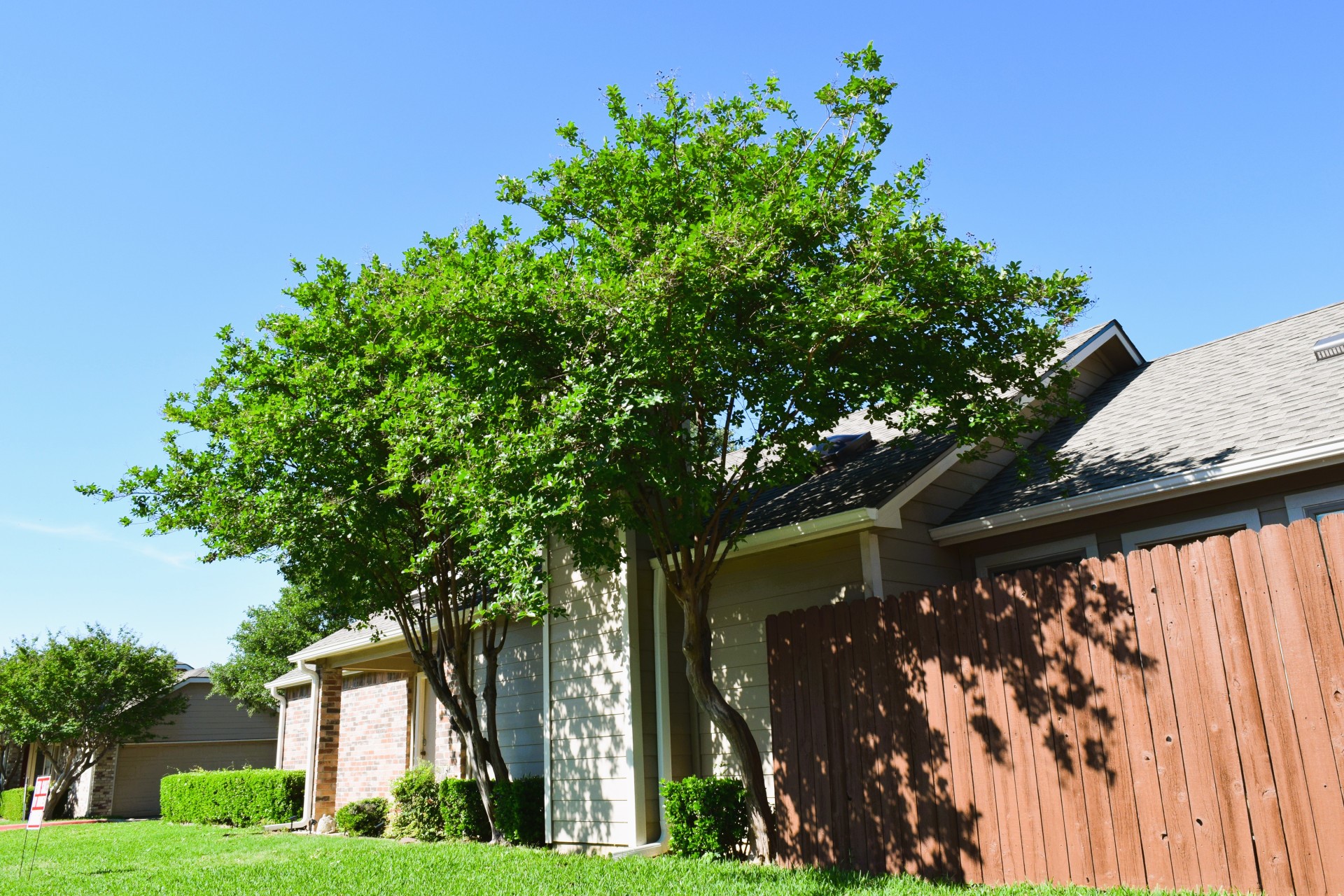1800 Maplewood Trail Colleyville TX 76034