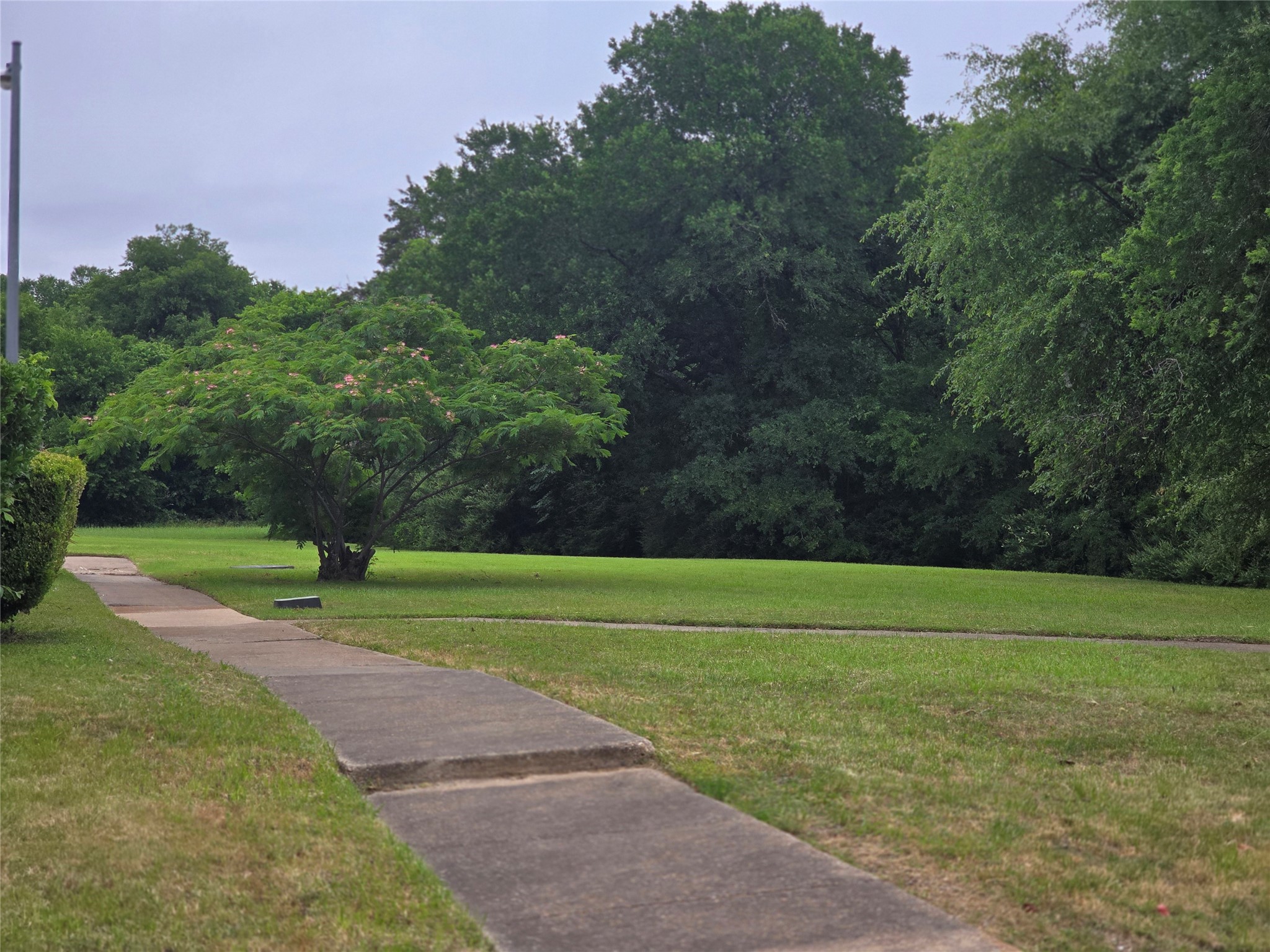 240 Rolling Hills Place Lancaster TX 75146