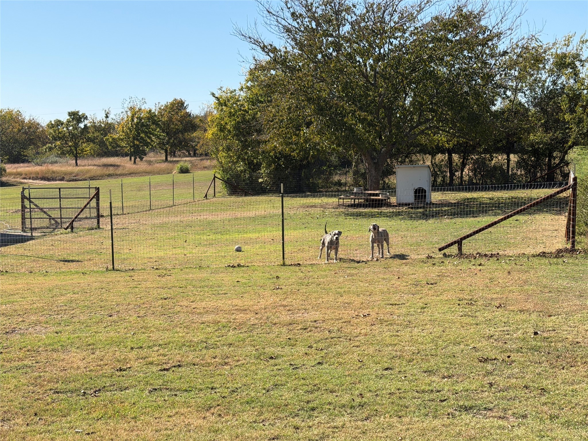 397 County Road 538 Stephenville TX 76401