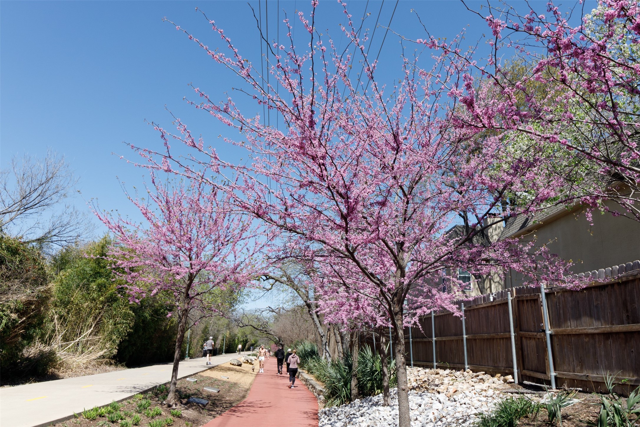 4044 Buena Vista Dallas TX 75204