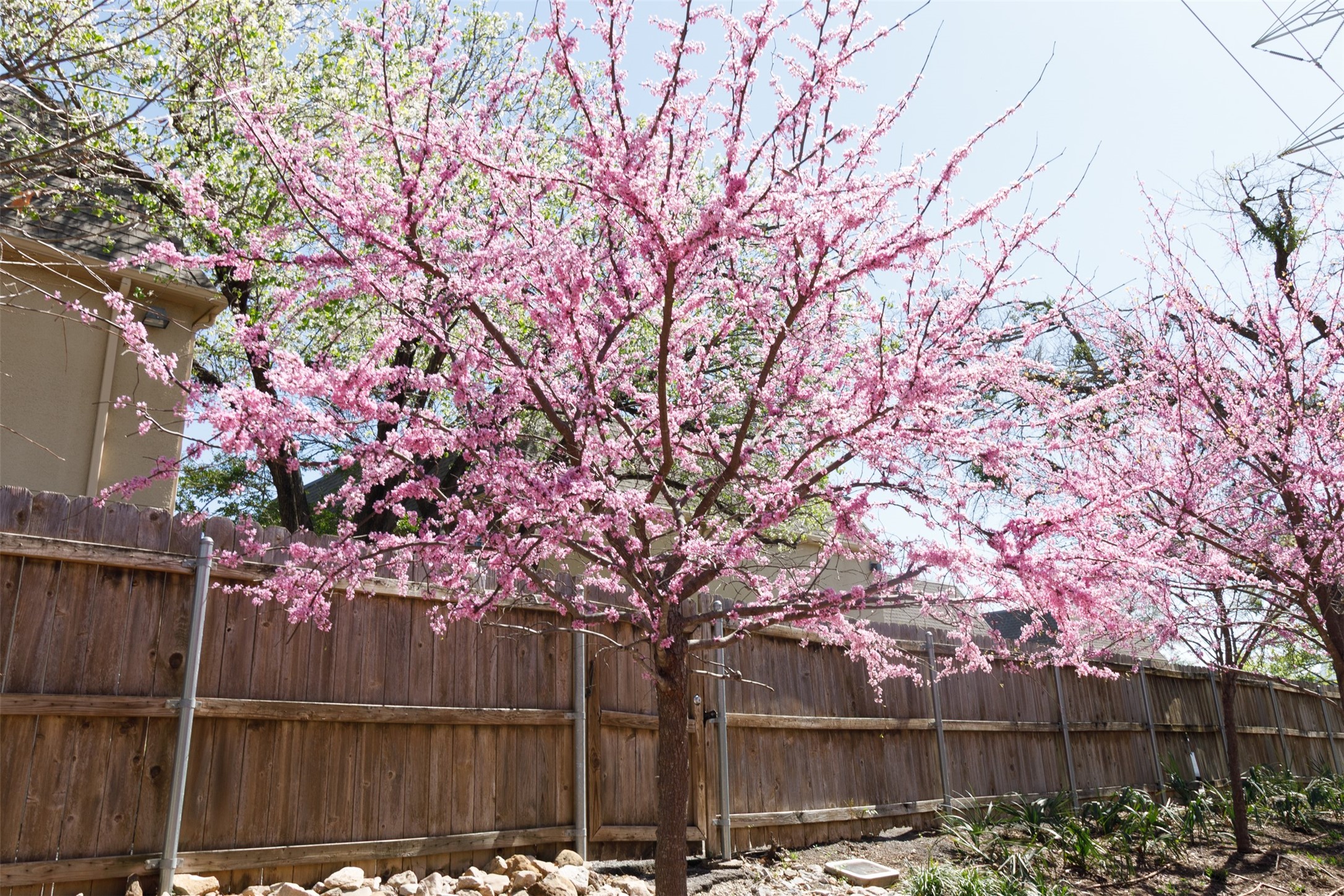 4044 Buena Vista Dallas TX 75204