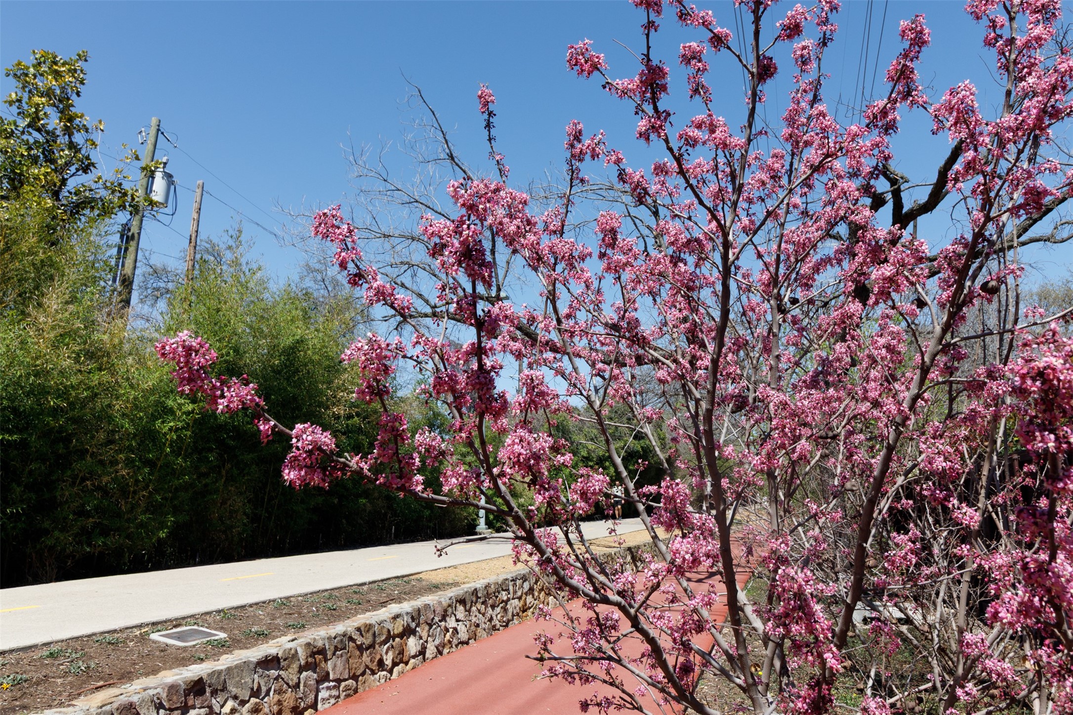 4044 Buena Vista Dallas TX 75204