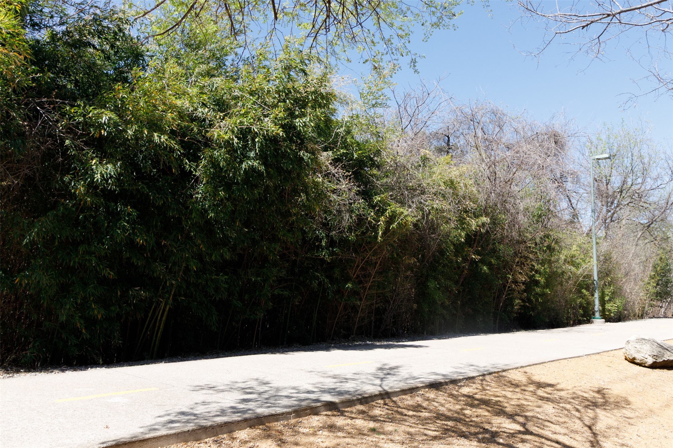 4044 Buena Vista Dallas TX 75204