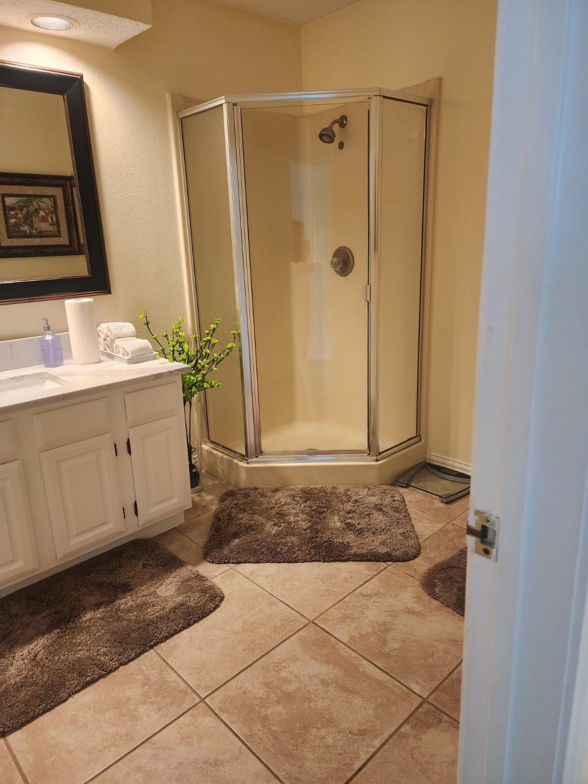 2106 Amesbury Drive Arlington TX 76011