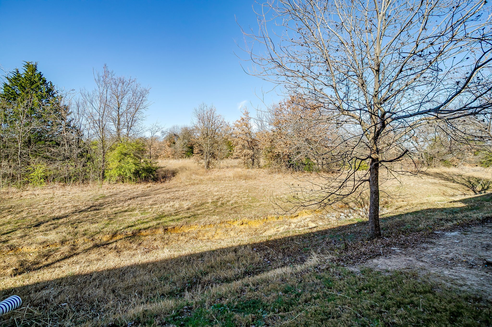 1524 Aldra Drive Fort Worth TX 76120