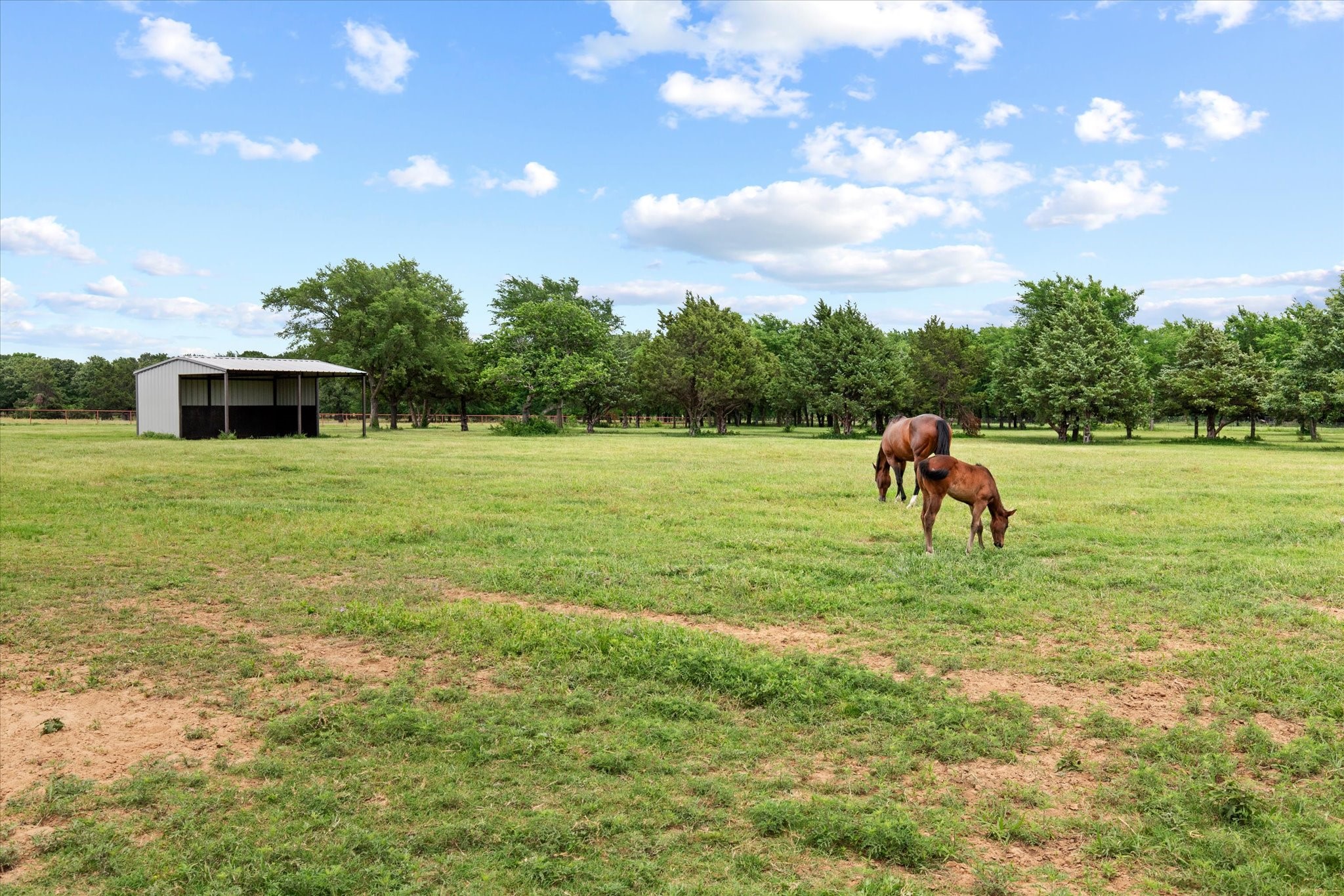 10701 Osburn Road Pilot Point TX 76258