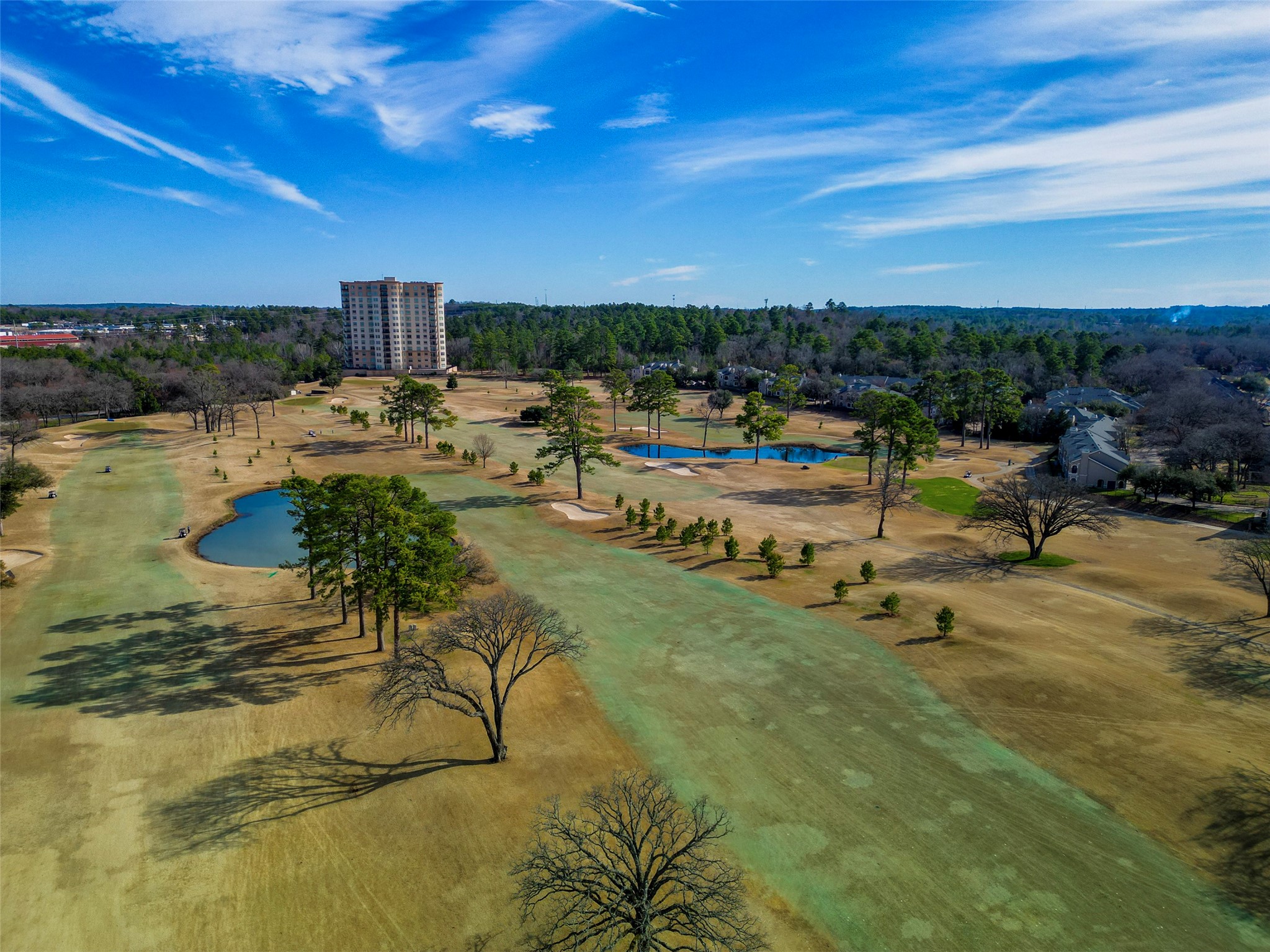 3351 Cascades Court Tyler TX 75709