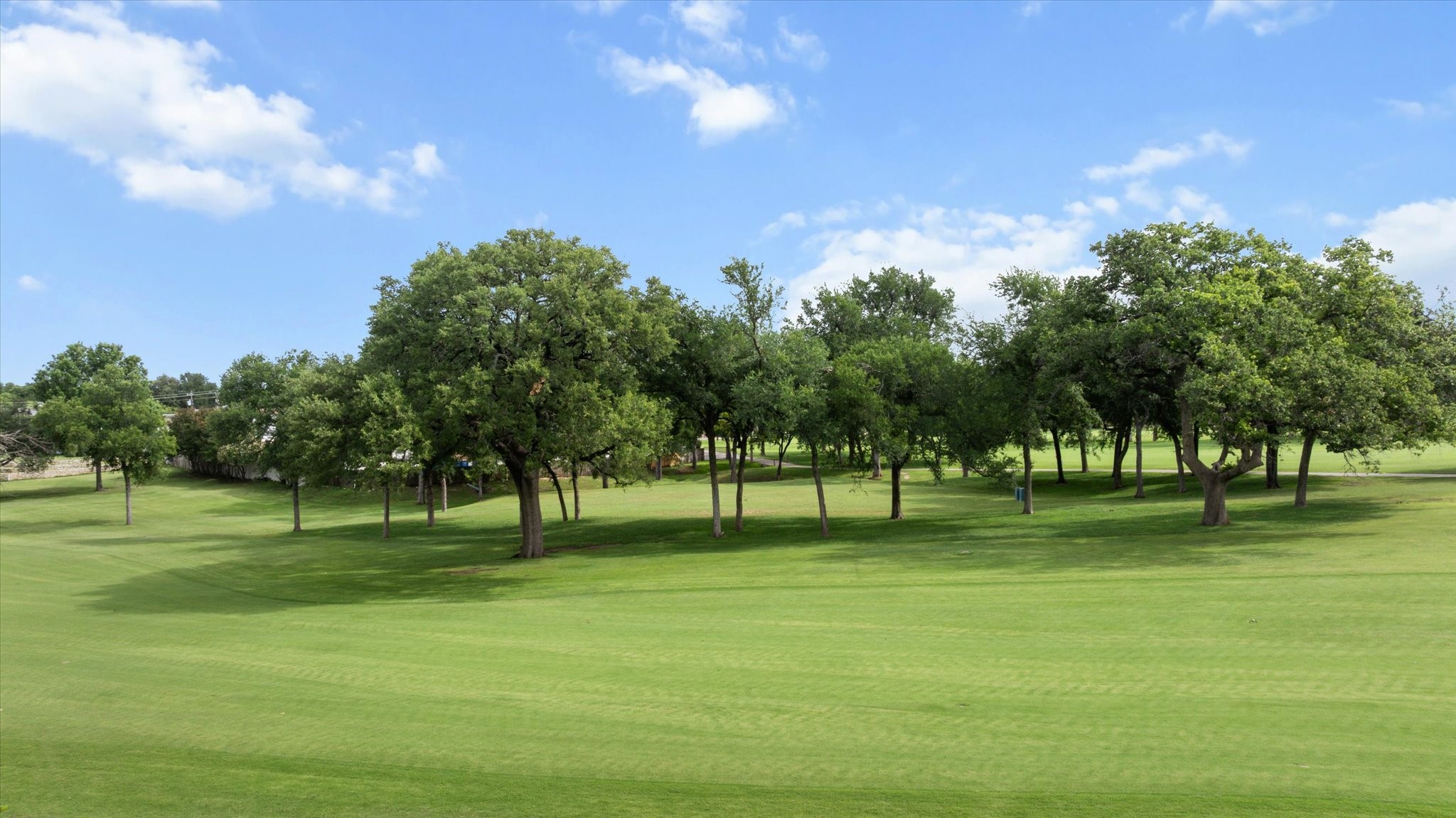 4407 Overlook Court Granbury TX 76049