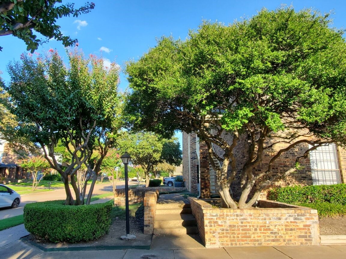 3100 Devonshire Drive Plano TX 75075