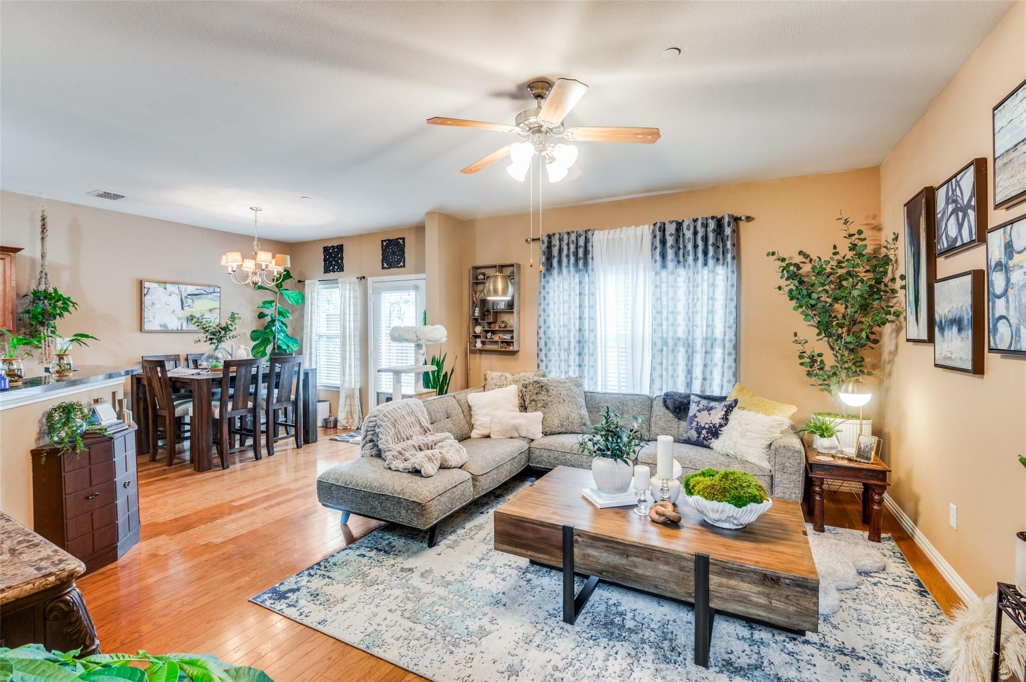 7204 Mediterranean Drive Plano TX 75093