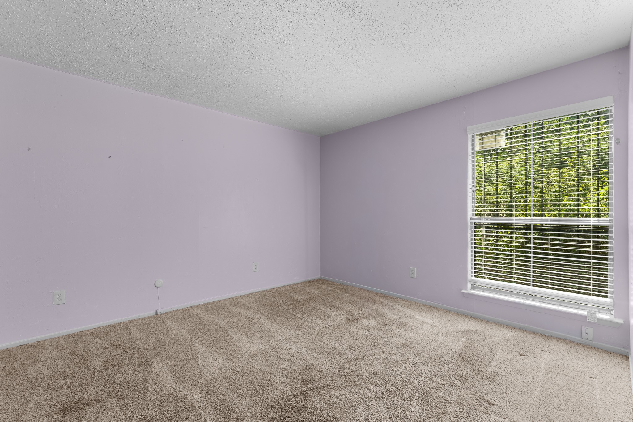 4667 Country Creek Drive Dallas TX 75236
