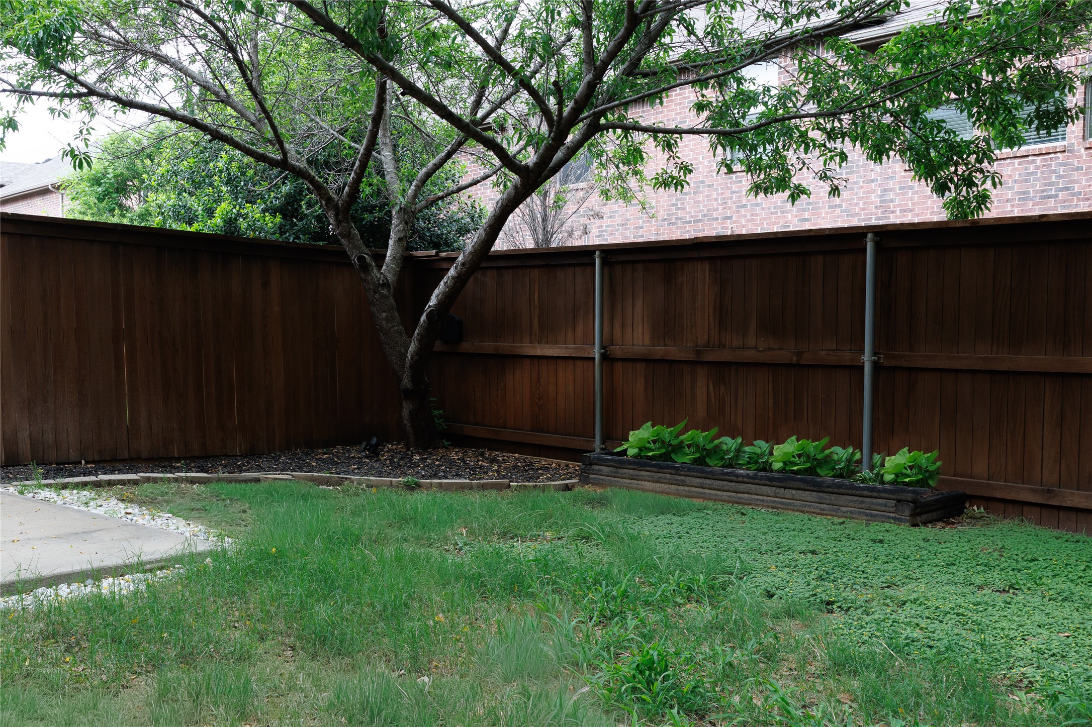 1124 Sophia Street Allen TX 75013