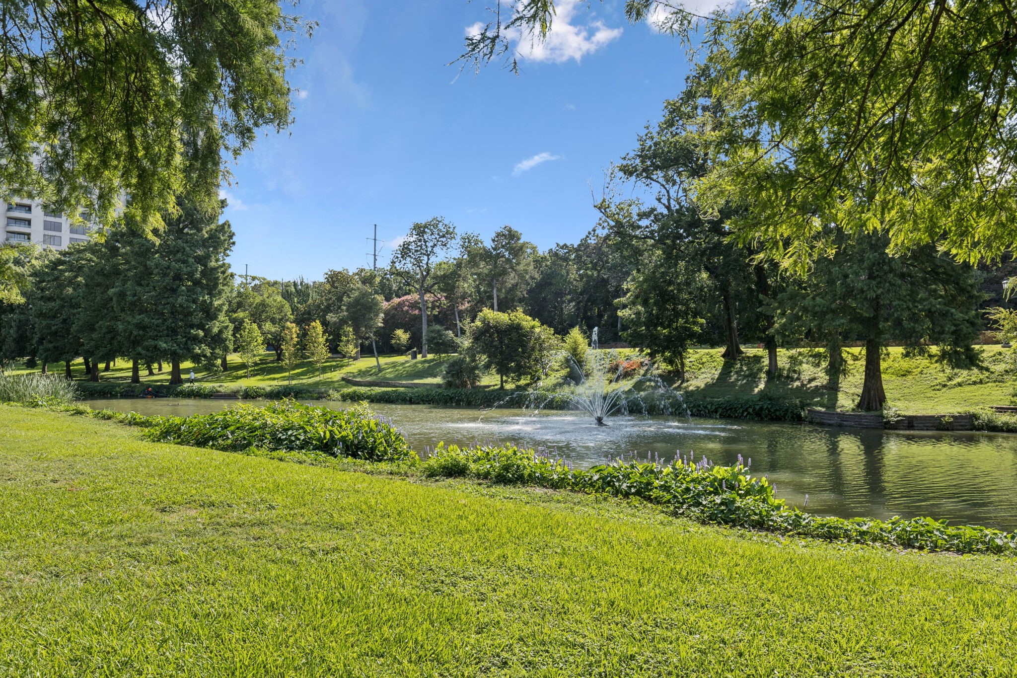 3225 Turtle Creek Boulevard Dallas TX 75219