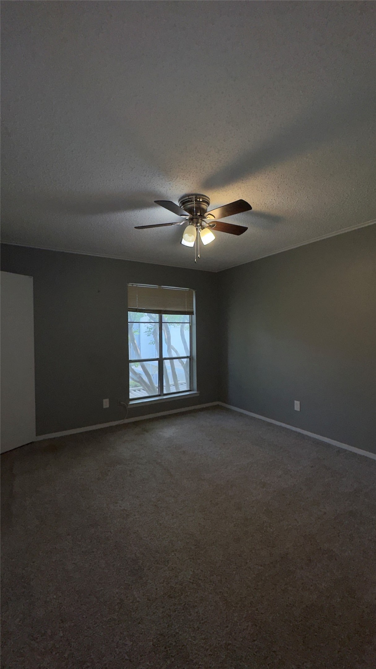 404 Hollyhill Lane Denton TX 76205