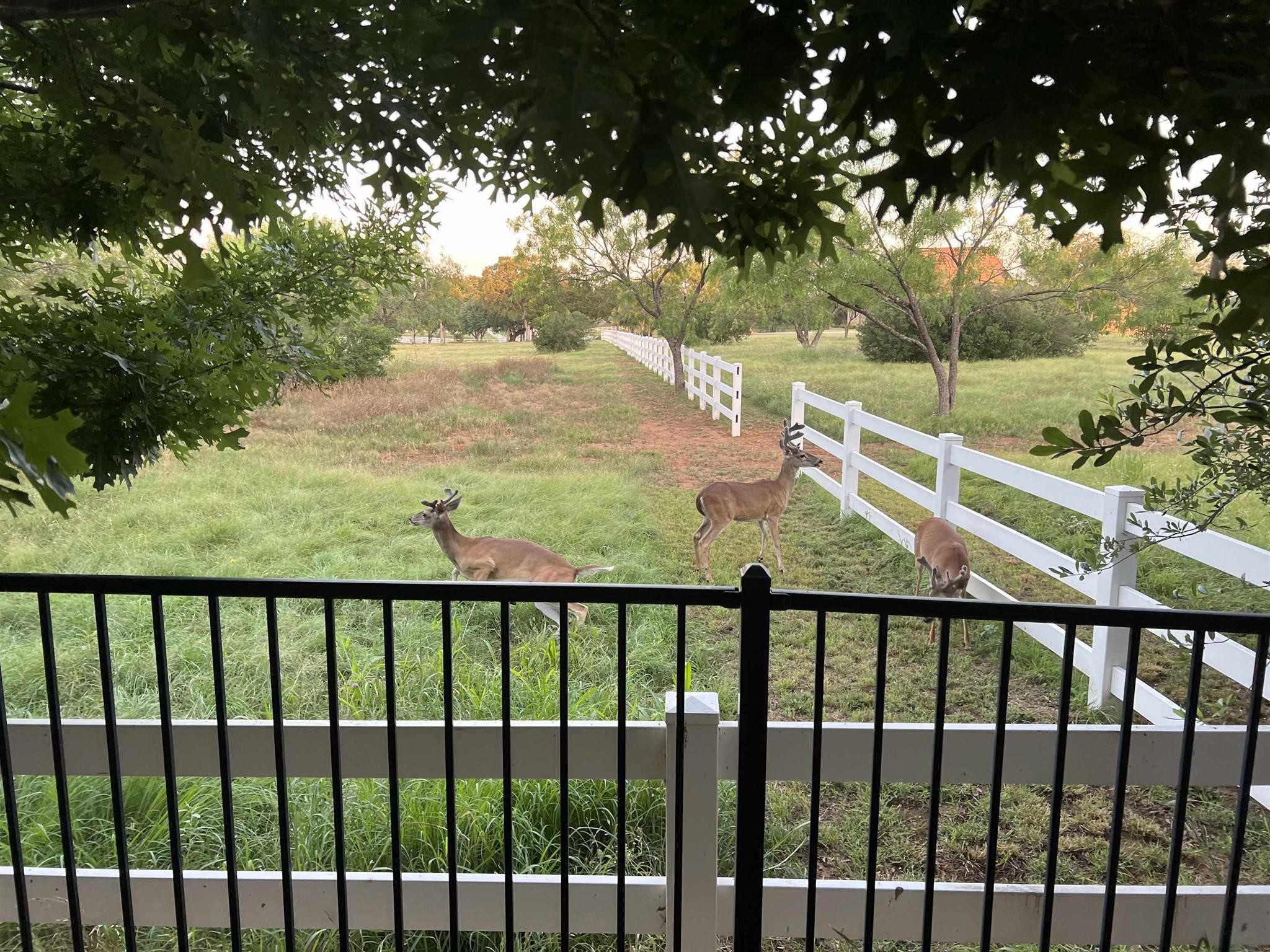 120 Tuscan Drive Horseshoe Bay TX 78657