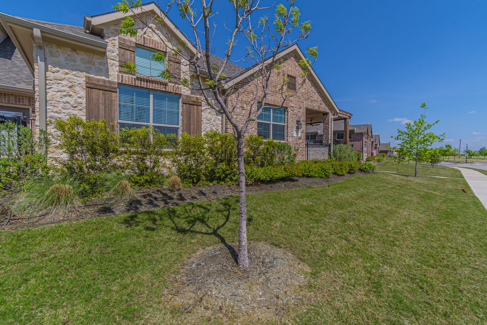 3874 White Clover Lane Prosper TX 75078