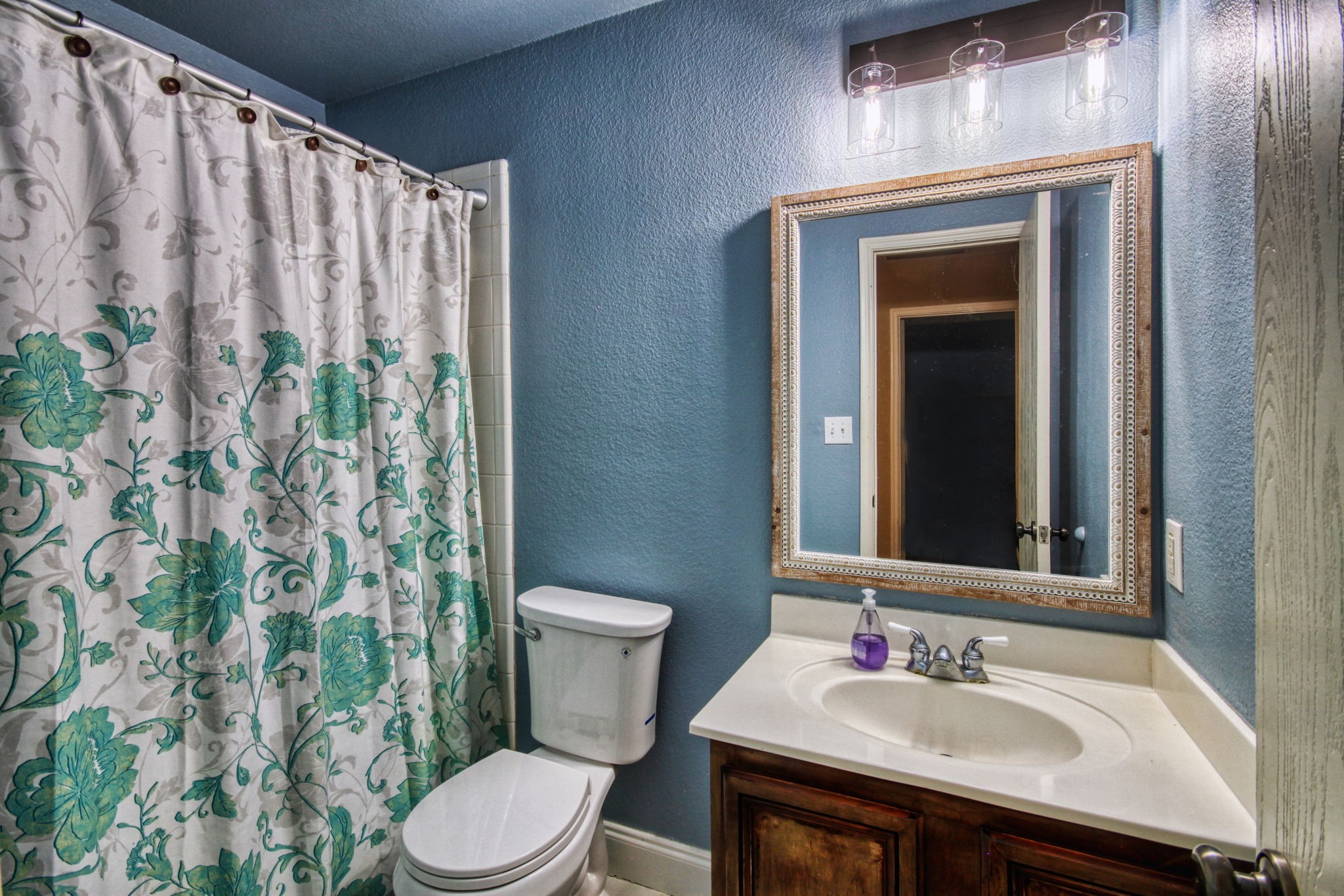7105 Van Gogh Drive Plano TX 75093