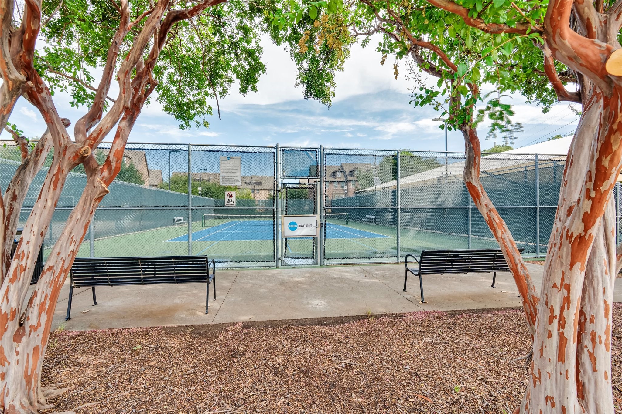 3912 Amberwood Drive Addison TX 75001