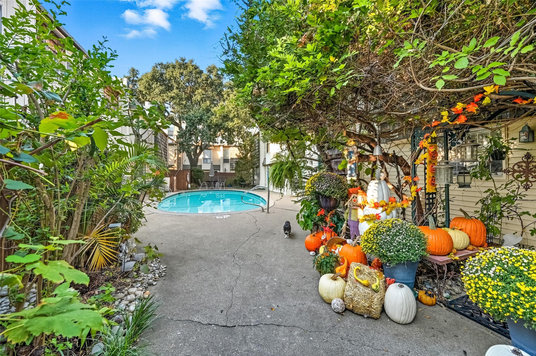 2702 Douglas Avenue Dallas TX 75219