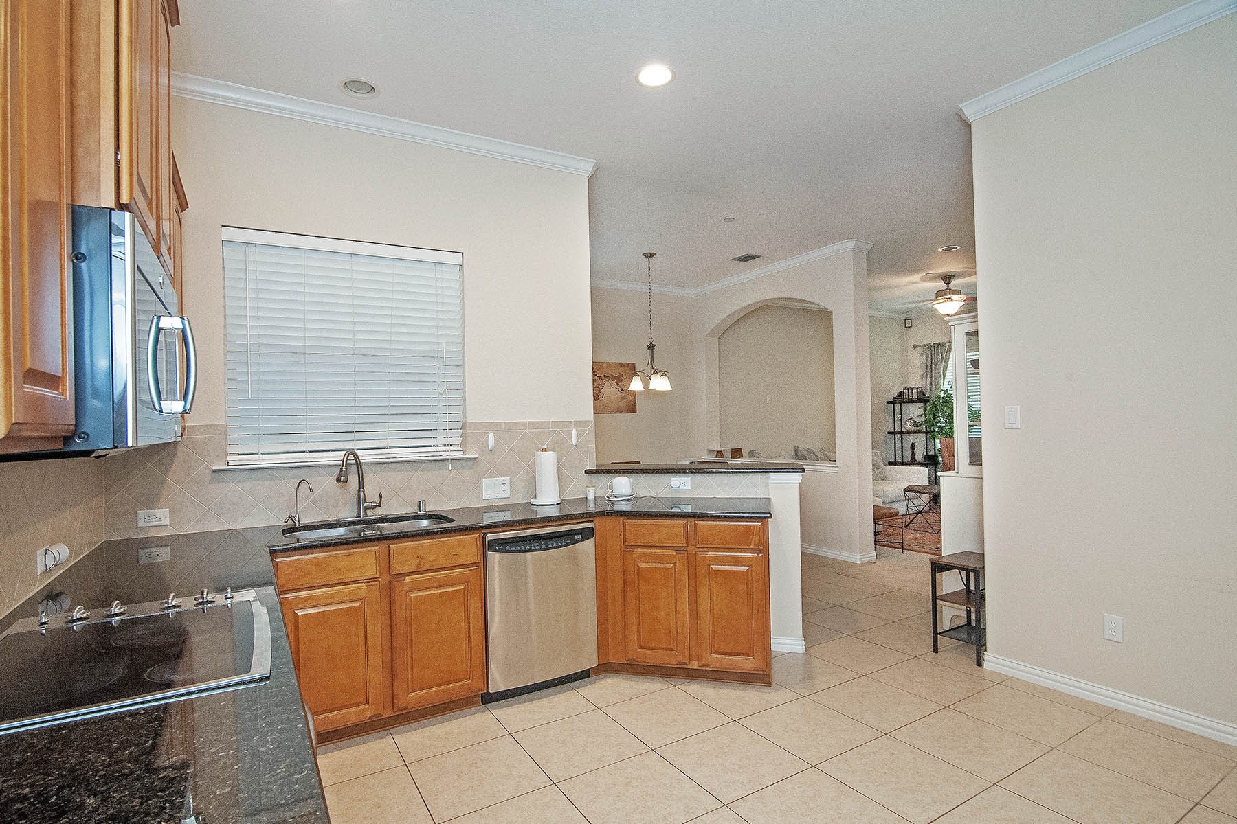 8624 Iron Horse Drive Irving TX 75063