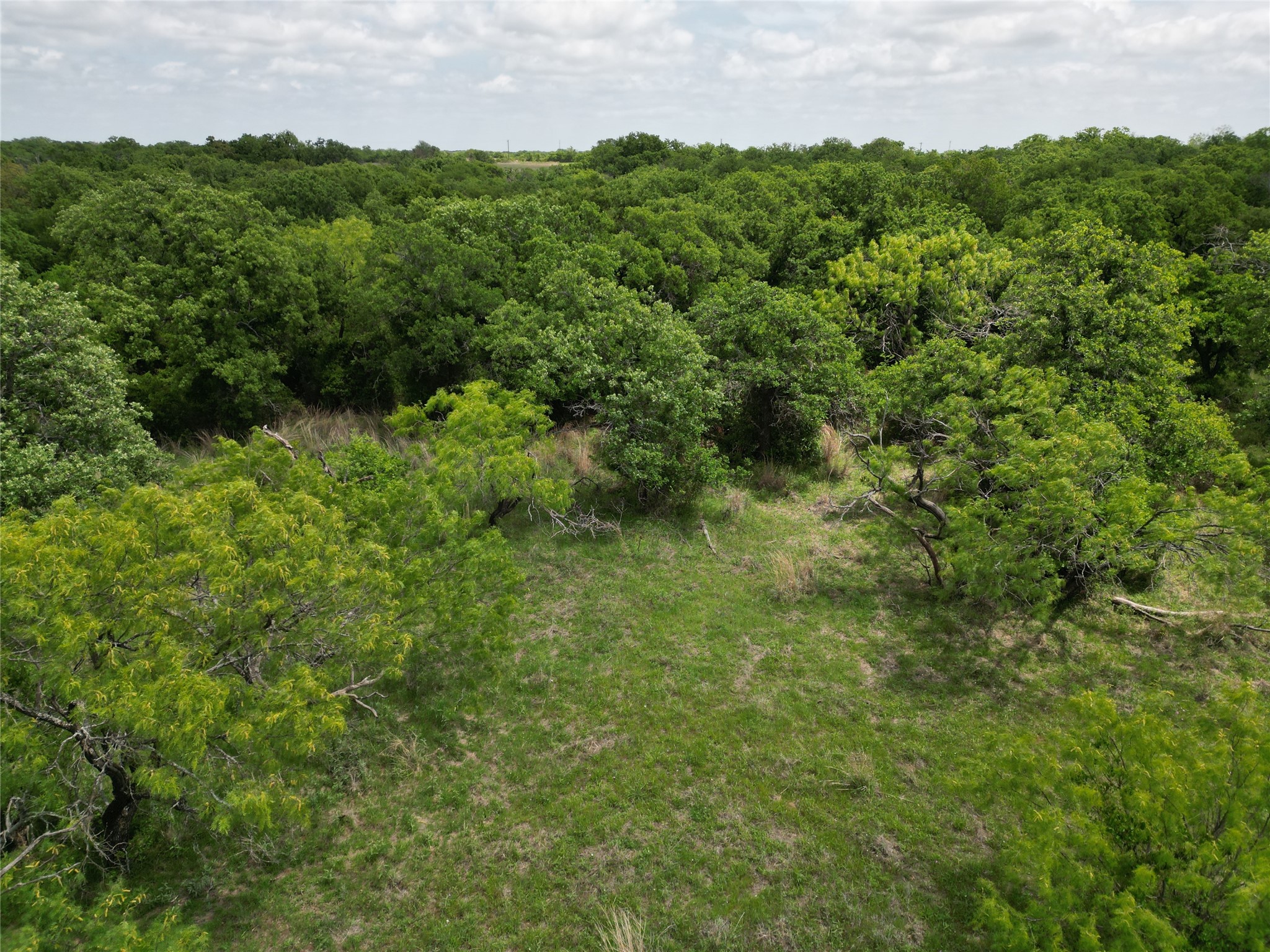 185 Rising Oak Trail Rising Star TX 76471