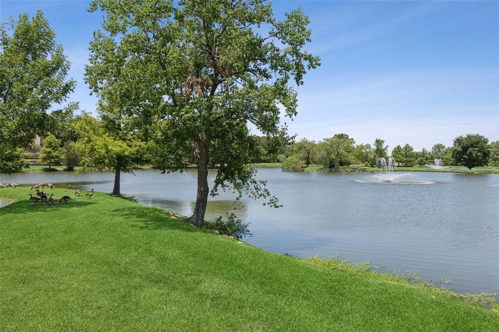 2976 Buttonwood Drive Carrollton TX 75006