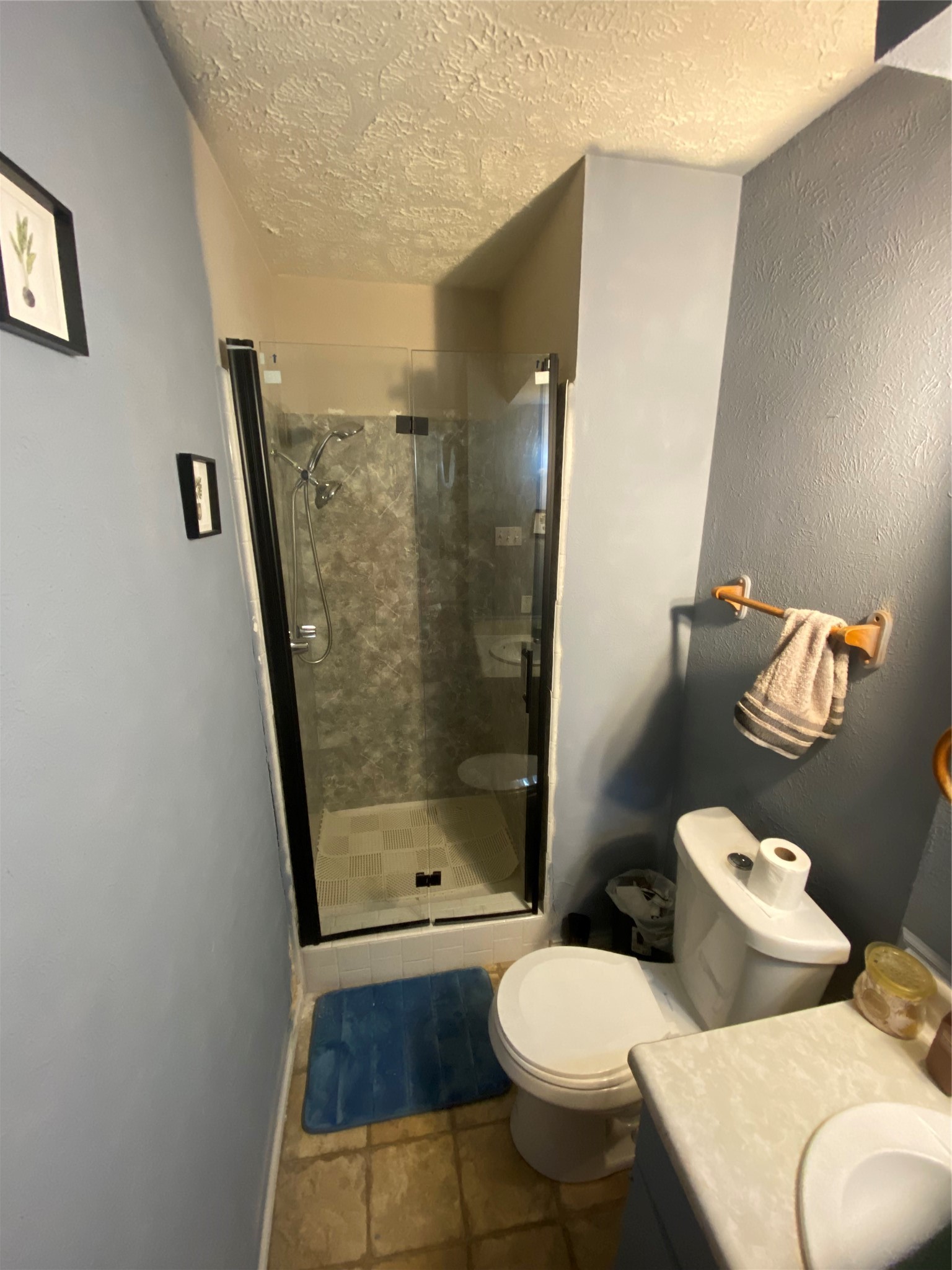 99 W Mountain Creek Drive Grand Prairie TX 75052