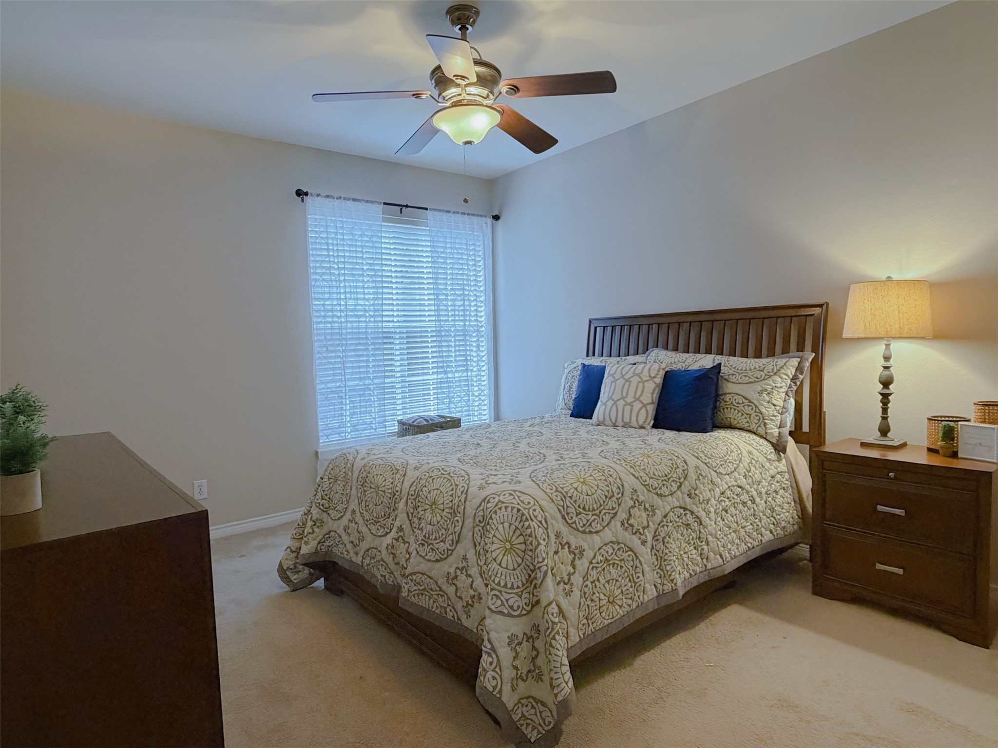 1650 Ascension Bluff Drive Arlington TX 76006