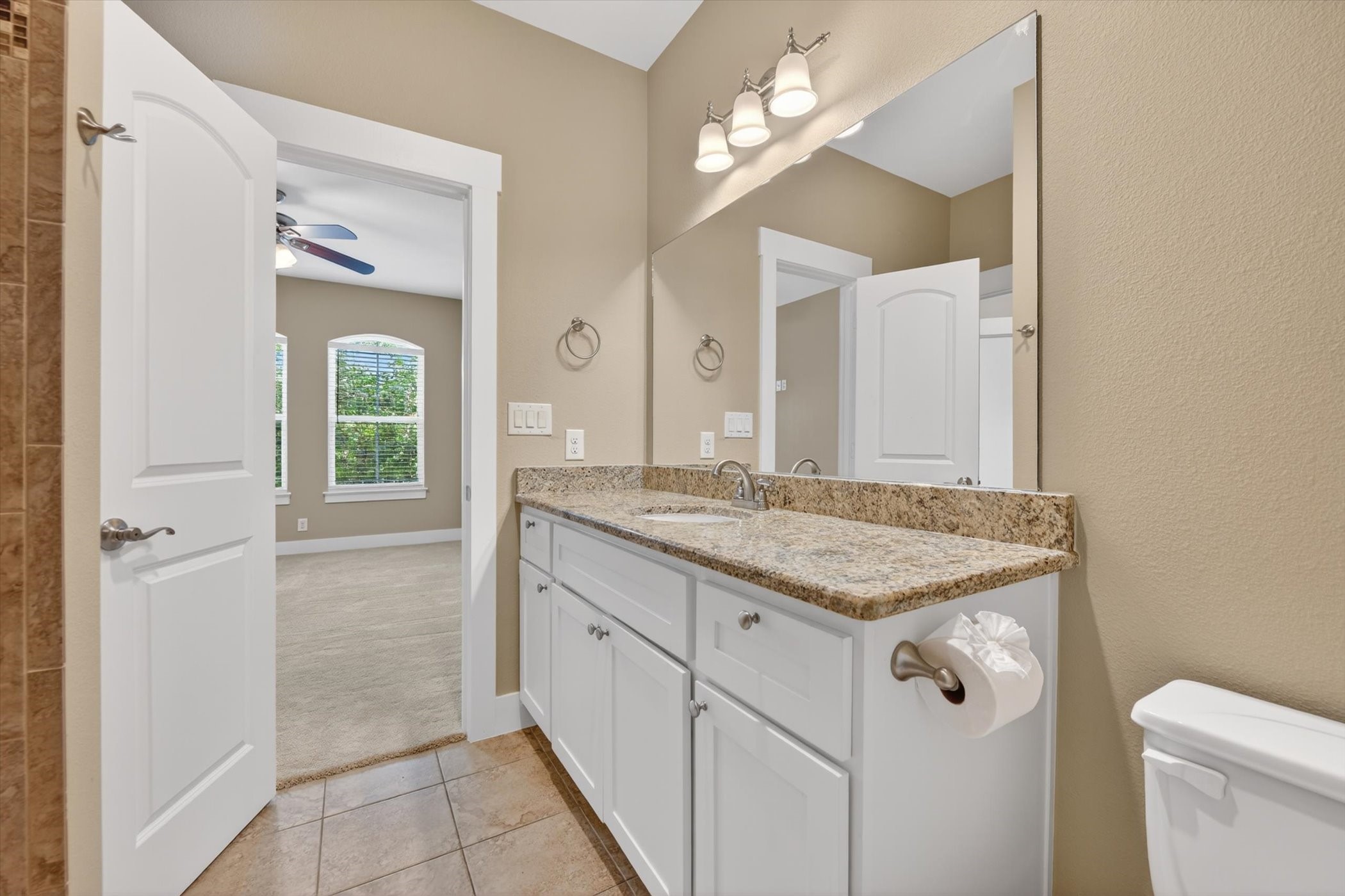 308 Lily Lane Lewisville TX 75057