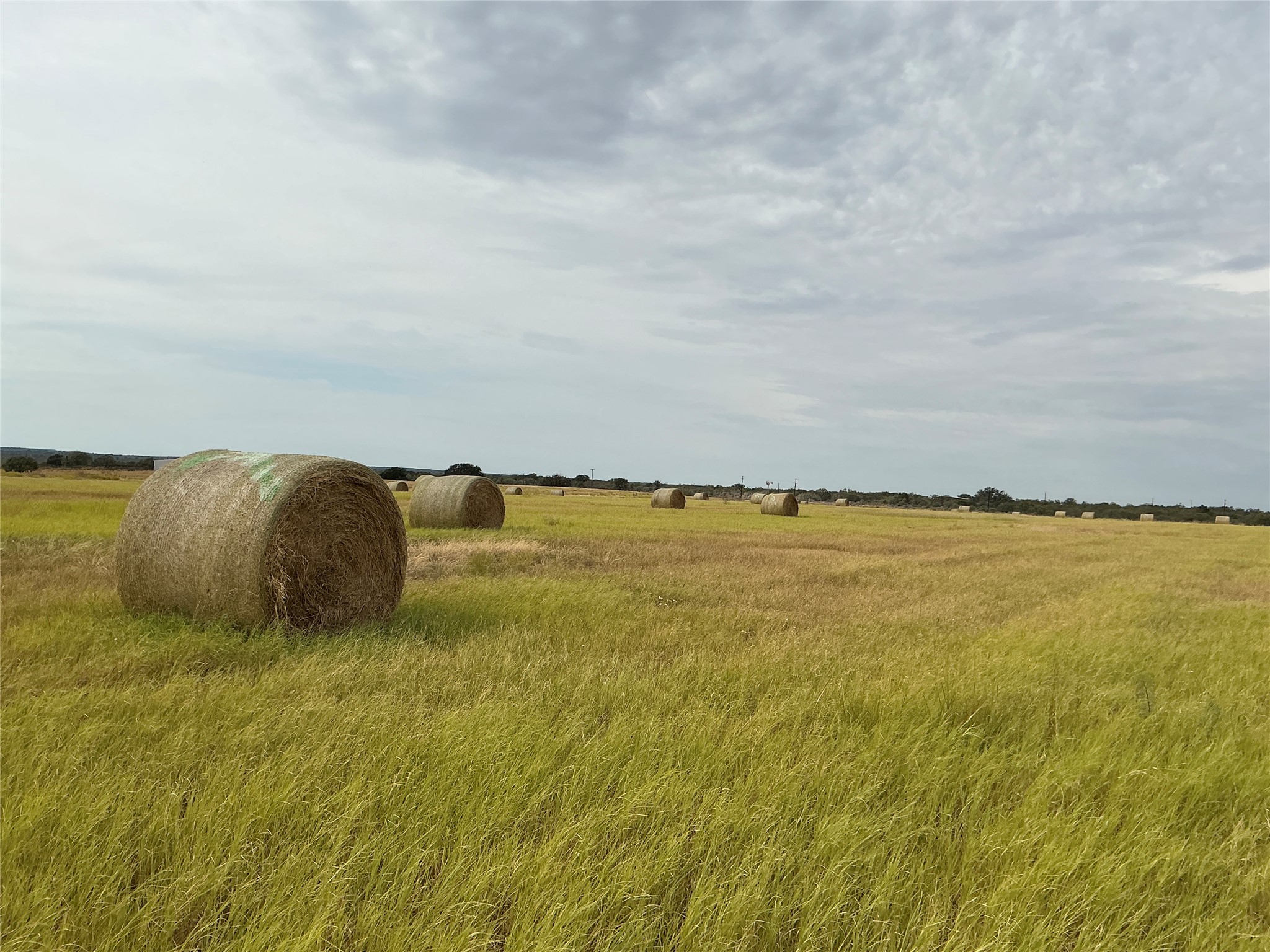 4315 Cr 226 San Saba TX 76877