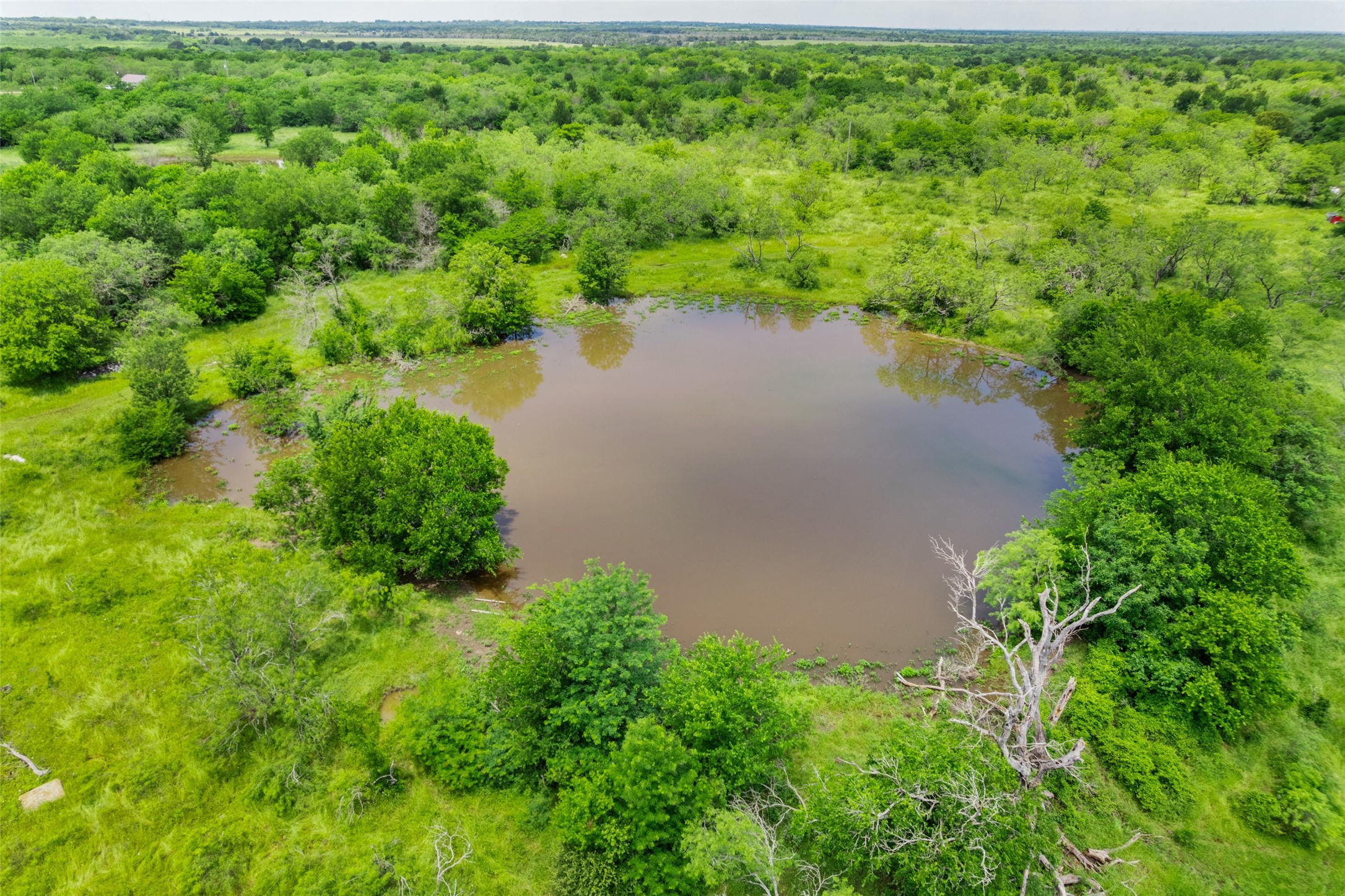 105 County Road 1001 Wortham TX 76693