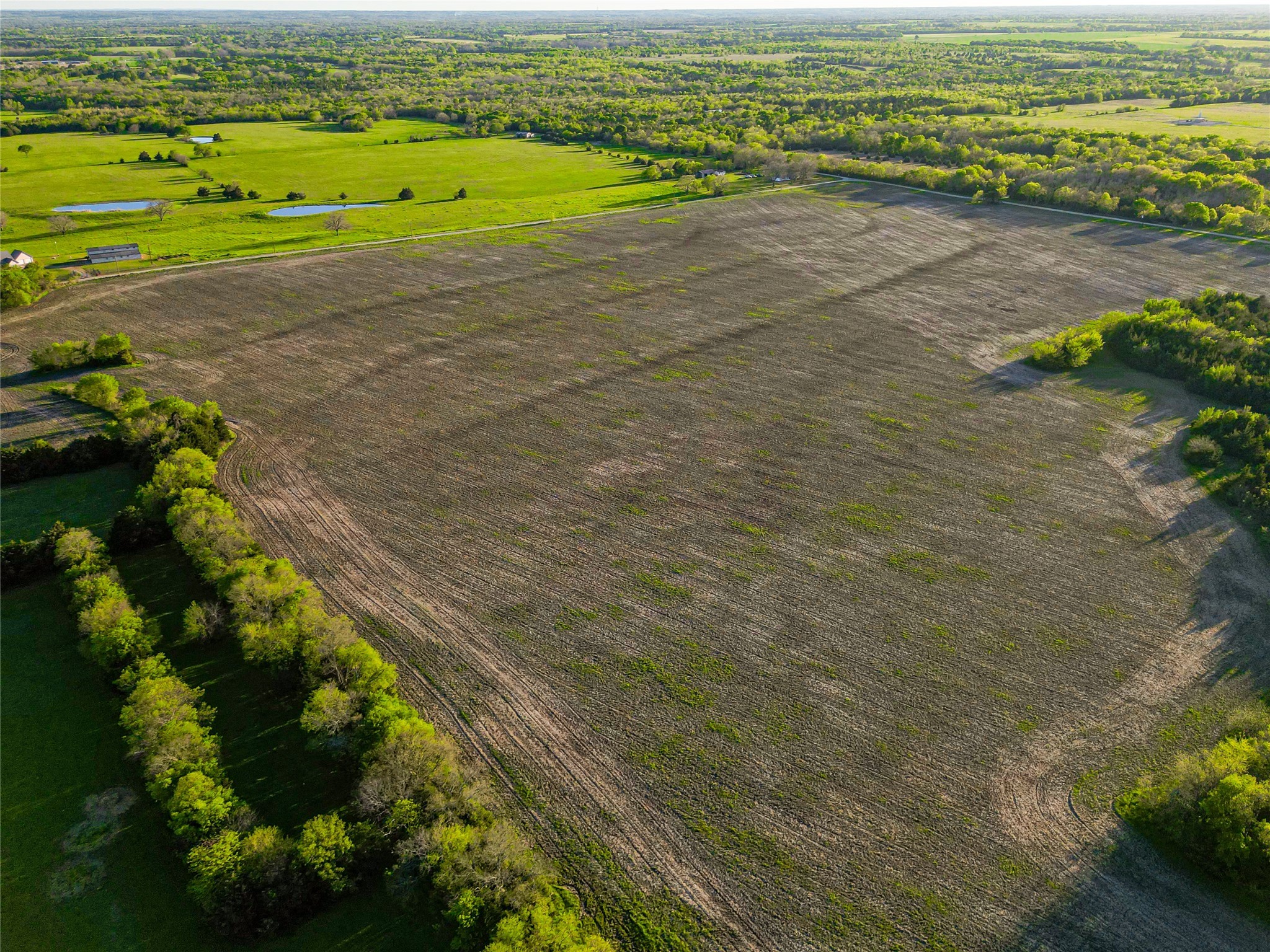000 S Highway 121 Highway Bonham TX 75418